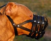 dog muzzle